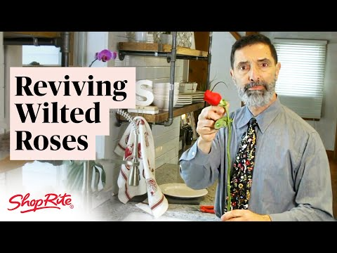 14 Long-lasting Cut Flowers To Brighten Your Home November 19, 2024 14 Long-lasting Cut Flowers To Brighten Your Home November 19, 2024