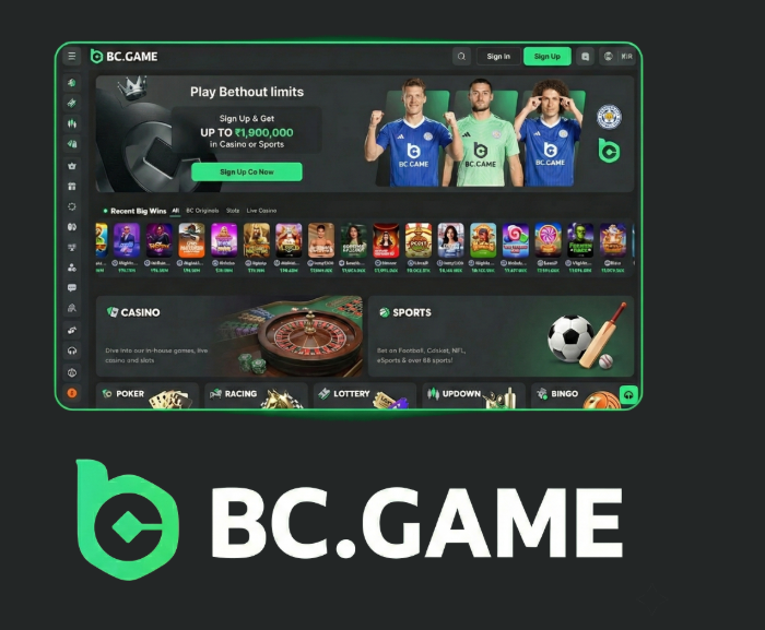 Experience the Thrill of BC.Game Online Casino -248632791